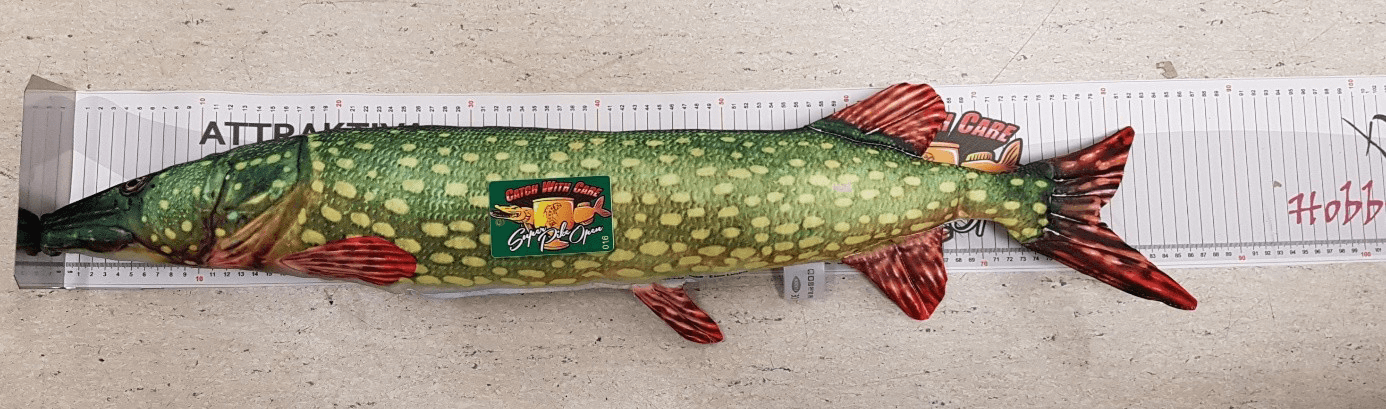 Fotografera rätt SPO